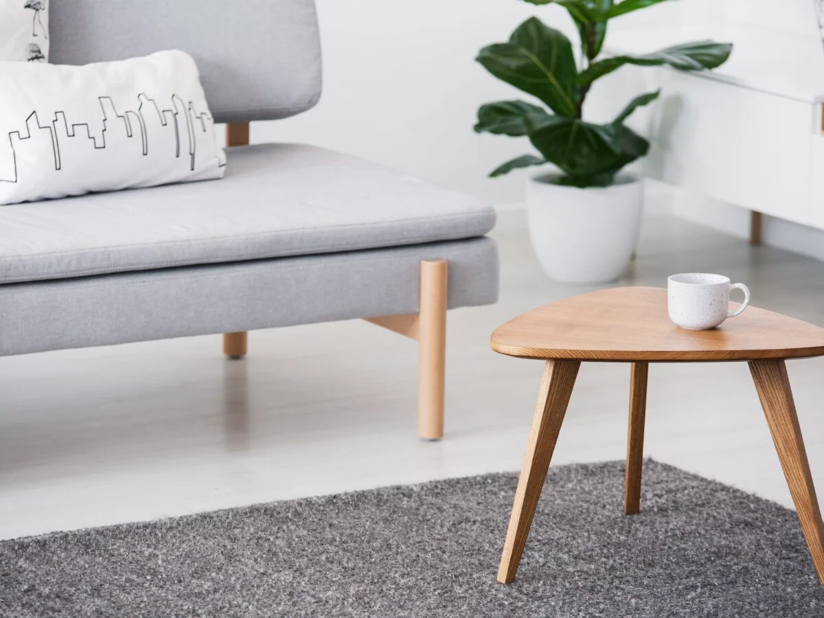 Contemporary style interior furniture of grey sofa and small wooden coffee table